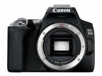 Canon EOS 250D Kit 18-55 mm IS STM + 50 mm schwarz
