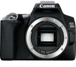 Canon EOS 250D Geh&auml;use - Schwarz + EF-S 18-55mm f4-5.6 IS STM + EF 50mm f1.8 STM,