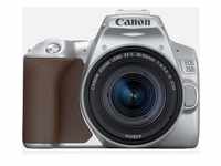 Canon EOS 250D Kit 18-55 mm IS STM silber