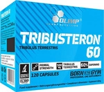 Olimp Tribusteron 60 120 Kapseln