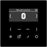 JUNG Smart Radio DABLSBTSW DAB+ m. Bluetooth - Schwarz