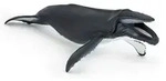 Papo Buckelwal, 3 Jahr(e), Marine life, Schwarz, Wei&szlig;, PVC - Schwarz/Wei&szlig;