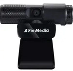 AVerMedia PW313, 2 MP, 1920 x 1080 Pixel, Full HD, 30 fps, M-JPEG, USB 2.0 - Schwarz