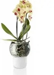 Eva Solo Orchideentopf, Blumentopf, Selbstbew&auml;ssernd, &Uuml;bertopf, Gefrostetes