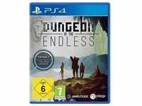 Dungeon of Endless Collectors PS-4