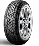 GT Radial Winterreifen motorcycle-tyres Champiro Winterpro 2 ( 155/70 R13 75T )