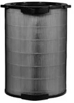 AEG AEG AFDBTH6 Zubeh&ouml;r Pollenfilter f&uuml;r AX91-604 AFDBTH6