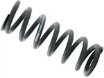 RockShox-Federfeder RS 57,5-65 mm 151 mm 300 lb - Schwarz