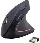 Renkforce RF-WM-322 Ergonomische Maus Funk Optisch Schwarz 5 Tasten 1600 dpi