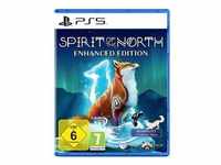Spirit of the North Spiel für PS5