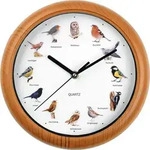 EASYmaxx Wanduhr mit 12 Singvogelgesang mit naturgetreuen Vogelmotiven Automatische