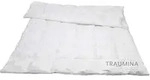 Traumina Cube Daune Kassettendecke WK 4 Gr&ouml;&szlig;e 135x200 cm