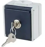 as-Schwabe Aufputz-Steckdose 1-fach abschliessbar 230V 16A IP54 - Grau