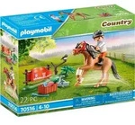 Sammelpony "Connemara" - Bunt