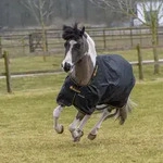 Bucas Weidedecke Irish Turnout Light 50g Classic 1200D