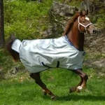 Bucas Outdoordecke 0g Power Turnout Light Big Neck Regendecke Silver 125