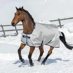 BUCAS Power Turnout Extra 300g Winterdecke Weidedecke Silver, Buc17_Gr.:165cm -