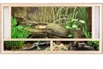Repiterra&reg; Terrarium Frontbel&uuml;ftung Holzterrarium OSB Holz Terrarien 120x60x60cm