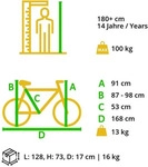 BIKESTAR Singlespeed 700C 28 Zoll City Stadt Fahrrad | 53 cm Rahmen Rennrad...
