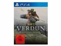 WW1 Verdun PS-4
