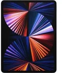 Apple iPad Pro 12,9'' WiFi 5G 256GB 5Gen (2021) grau - Grau