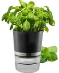 Kr&auml;utertopf BOTANICO