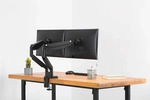 Digitus Dual Monitorhalterung, 2x 32", 2x 9 kg, Klemme, 9 kg, 38,1 cm (15"), 81,3 cm