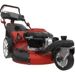 Rasenm&auml;her BIG WHEELER 554.1 R TRIKE