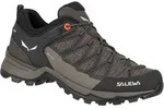 Salewa Schuhe Mtn Trainer Lite Gtx, 613627517 - Braun - 37
