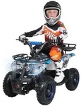 Actionbikes Motors Elektro Kinderquad Torino | 1000 Watt - 36 V - Pocket Quad bis 24