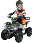 Actionbikes Motors Elektro Kinderquad Torino | 1000 Watt - 36 V - Pocket Quad bis 24
