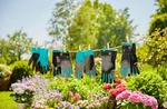 Gardena 11500-20, Gartenhandschuhe, Schwarz, Blau, Grau, S, Baumwolle, Elasthan,