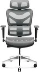 V-Commander Ergonomischer B&uuml;rostuhl Schreibtischstuhl Chefsessel 3D Armlehnen