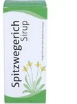 Bios Spitzwegerich Sirup zur Linderung von Reizhusten, 200 ml L&ouml;sung