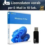 Microsoft Windows 11 Pro OEM, Erstausr&uuml;ster (OEM), 1 Lizenz(en), Deutsch, 64 GB, 4