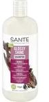 Sante Naturkosmetik Glanz Shampoo Bio-birkenblatt & Pflanzliches Protein, 500...