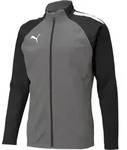 Puma Teamliga Trainingsjacke Herren - Grau - Grau/Schwarz - M