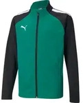 Puma Teamliga Trainingsjacke Kinder - Gr&uuml;n - Gr&uuml;n - 152
