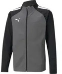 Puma Teamliga Trainingsjacke Kinder - Grau - Grau - 164