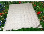 Betten Hofmann Sommerdecke Daunendecke Punktstepp 155x220 cm 100% Daunen superleicht