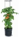 Prosperplast TOMATO GROWER Tomatenpflanzer 39,2 cm anthrazit - Grau