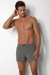 H.I.S. Weiter Boxer Herren Boxer 5 -teilig grau-meliert, blau-gr&uuml;n, aubergine, blau,