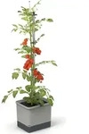 Gusta Garden Tom Tomato, Topfpflanzer, Freistehend, Aluminium, Polypropylen (PP),