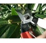 Okatsune &ndash; Japanische Gartenschere mit ultra-scharfen Klingen, robust pr&auml;ziser