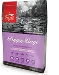 Orijen Puppy Large, Welpe, Huhn, Fisch, Truthahn, 6 kg
