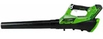 Greenworks Elektro Laubbl&auml;ser G40AB mit 40 V 2 Ah Akku 2400807UA