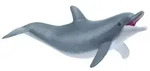 Papo Spielender Delphin, 3 Jahr(e), Marine life, Grau, Wei&szlig;, PVC - Grau/Wei&szlig;