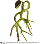 Phantastische Tierwesen Biegefigur Bowtruckle 18 cm