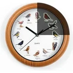 DS Produkte Vogel-Wanduhr 25cm mit 12 Vogelstimmen & Nachtabschaltung