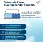 AM Qualit&auml;tsmatratzen | 1000 Federn 7-Zonen Taschenfederkernmatratze - 200x210...